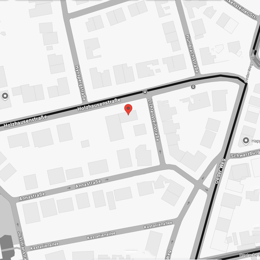 Strassenkarte Frankfurt Holzhausenviertel